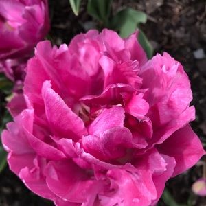 Meet your Posher, Michelle